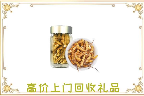 雁塔周边回收虫草